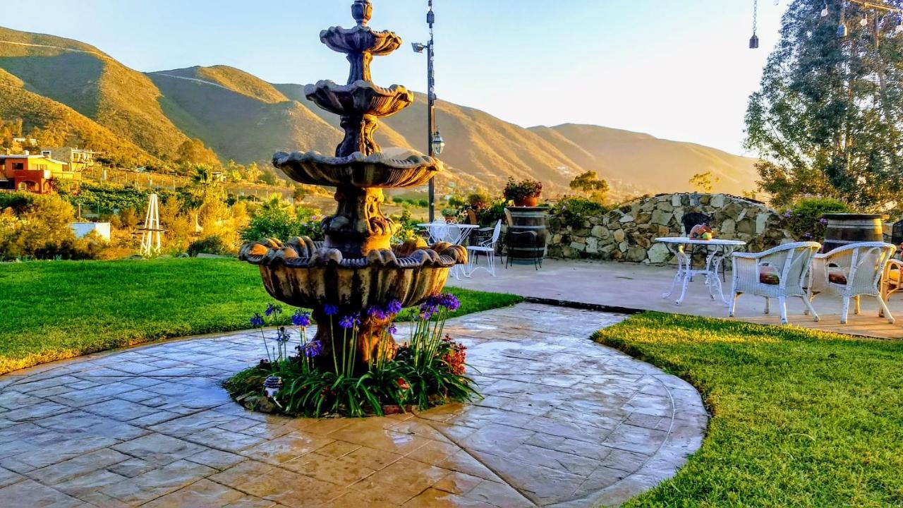Vina Calabria Bed and Breakfast Valle de Guadalupe Buitenkant foto