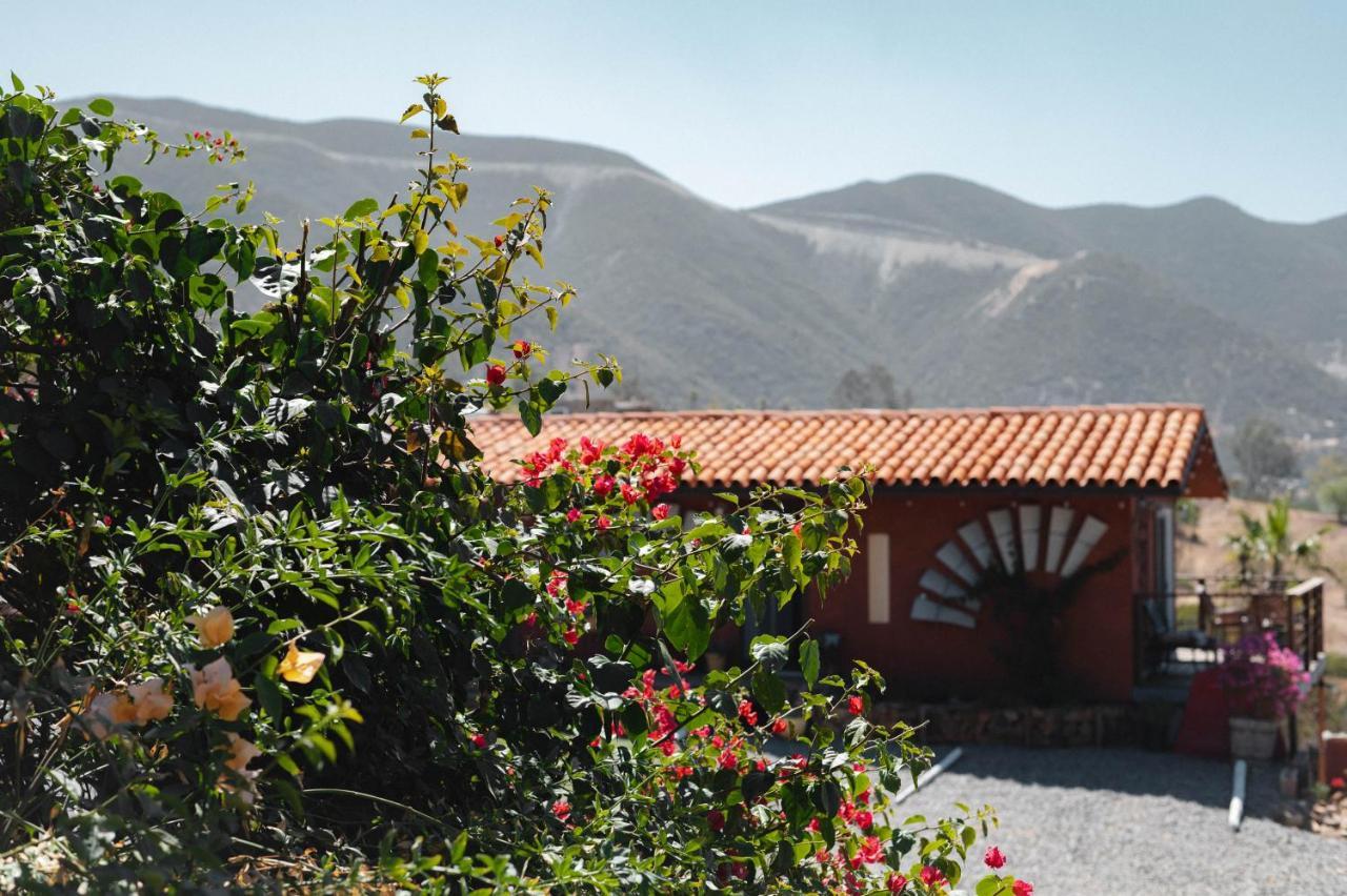 Vina Calabria Bed and Breakfast Valle de Guadalupe Buitenkant foto
