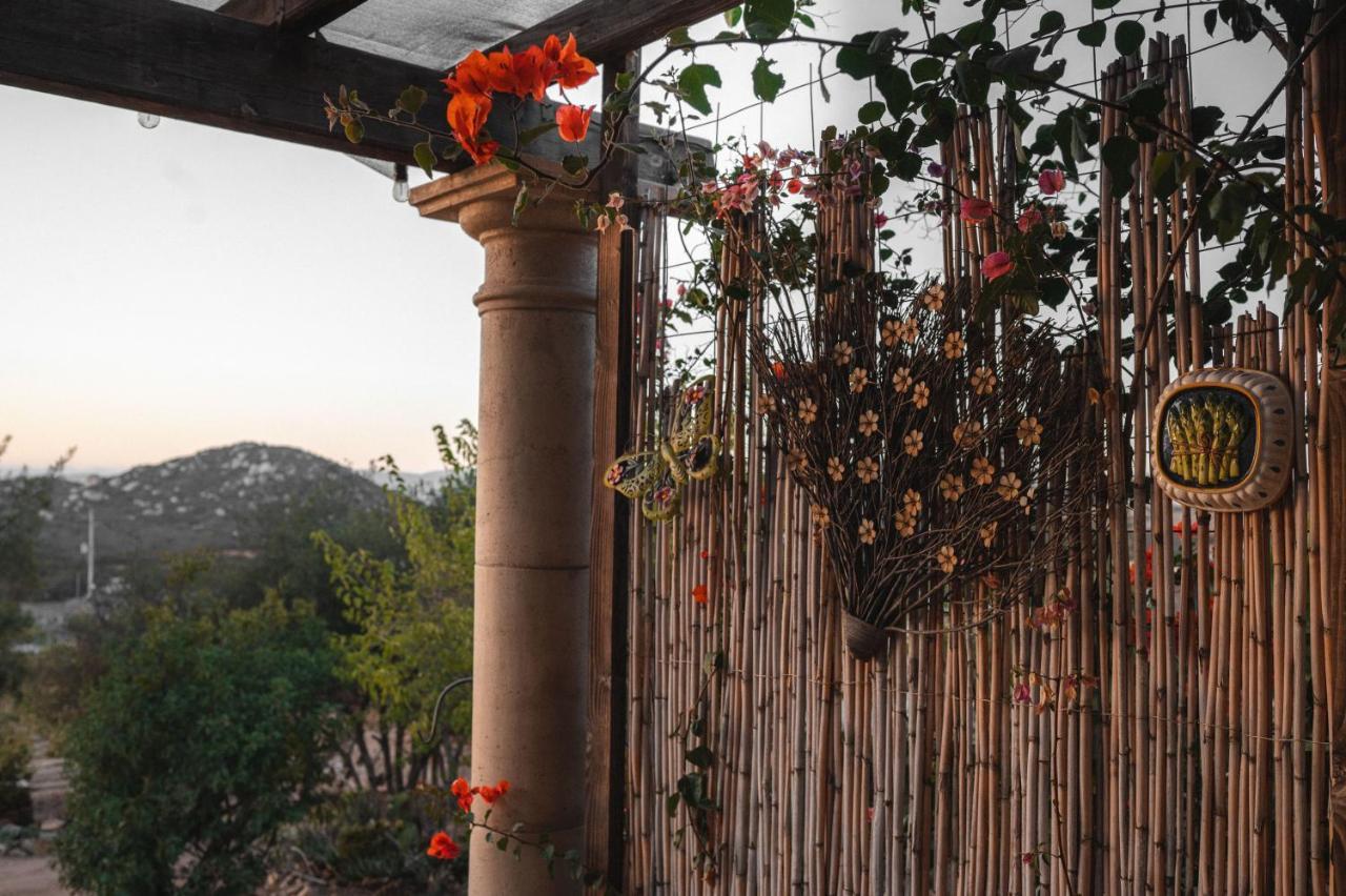 Vina Calabria Bed and Breakfast Valle de Guadalupe Buitenkant foto