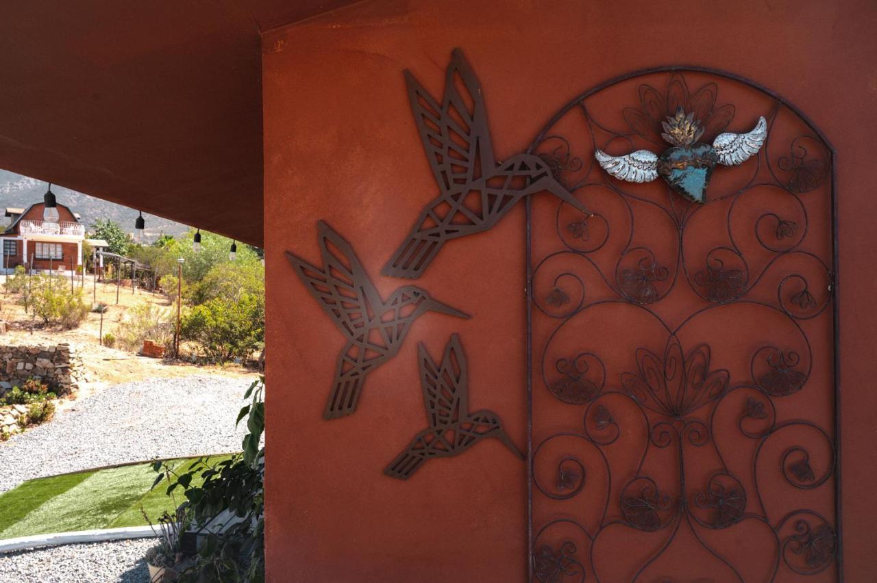Vina Calabria Bed and Breakfast Valle de Guadalupe Buitenkant foto