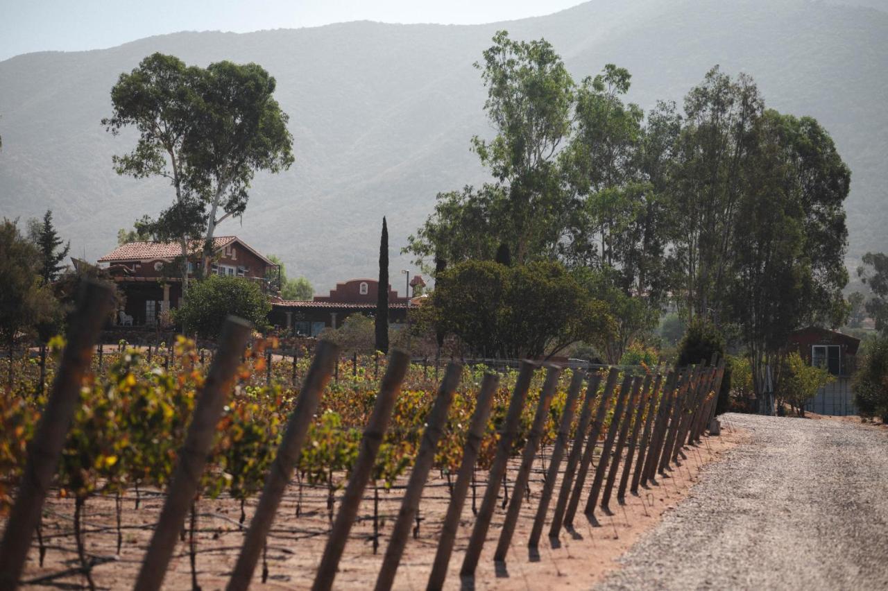 Vina Calabria Bed and Breakfast Valle de Guadalupe Buitenkant foto