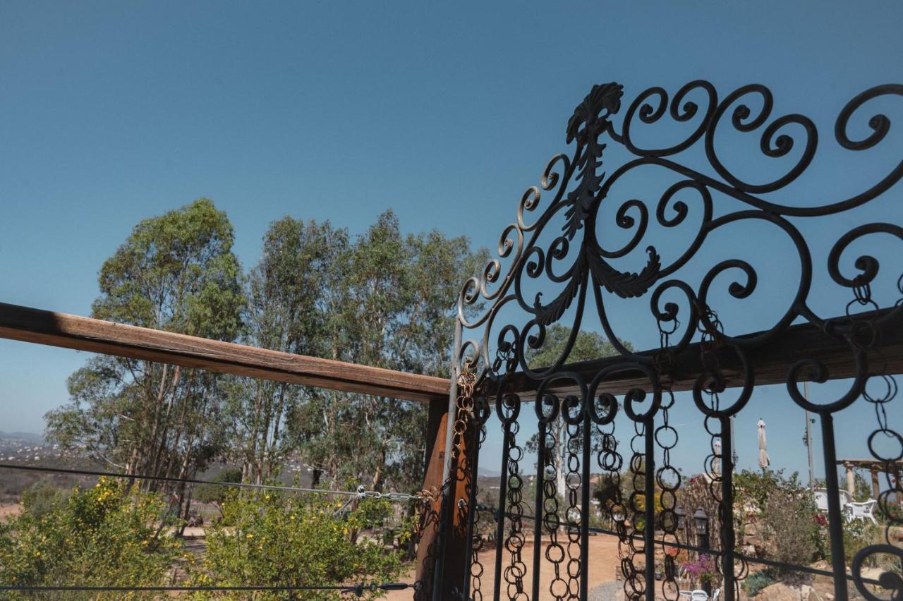 Vina Calabria Bed and Breakfast Valle de Guadalupe Buitenkant foto