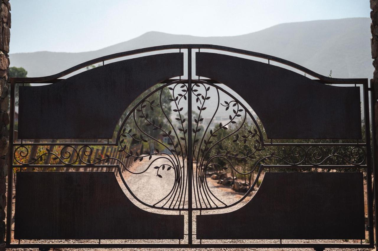 Vina Calabria Bed and Breakfast Valle de Guadalupe Buitenkant foto