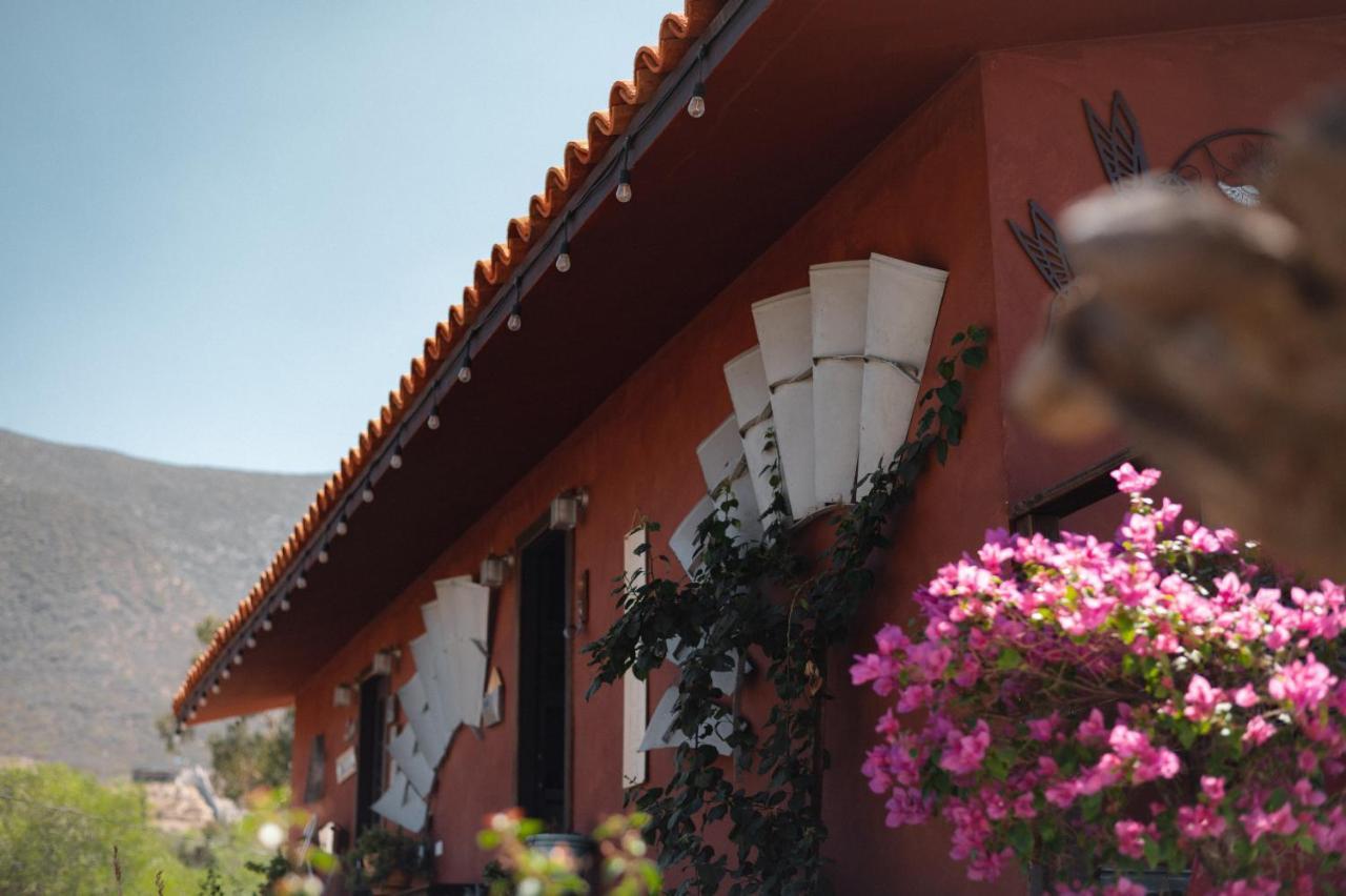 Vina Calabria Bed and Breakfast Valle de Guadalupe Buitenkant foto