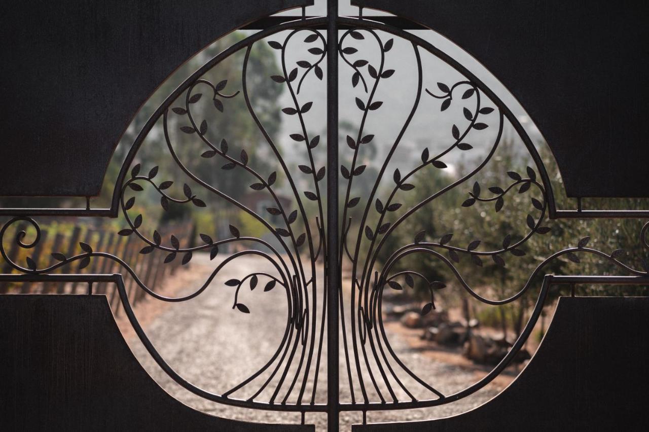 Vina Calabria Bed and Breakfast Valle de Guadalupe Buitenkant foto