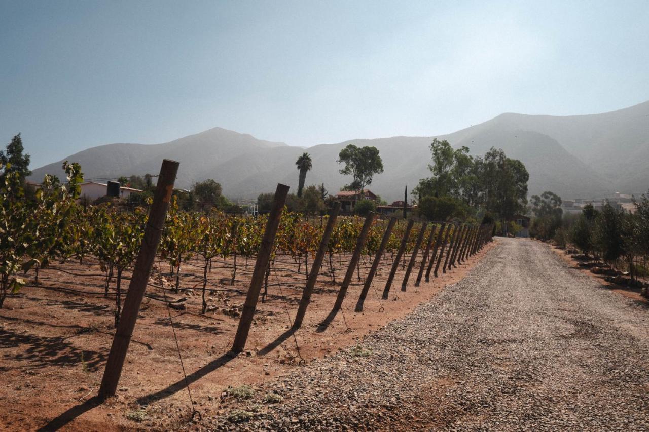 Vina Calabria Bed and Breakfast Valle de Guadalupe Buitenkant foto