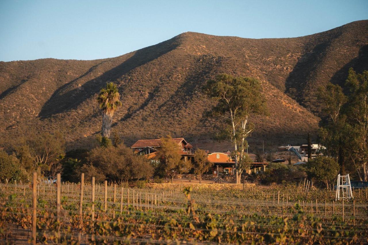 Vina Calabria Bed and Breakfast Valle de Guadalupe Buitenkant foto